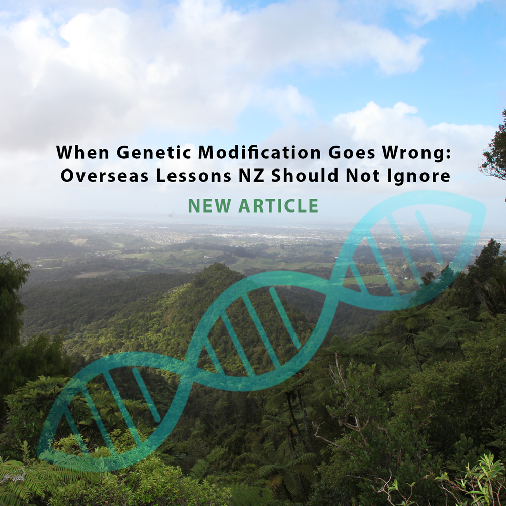New article headline over a tropical landscape with a teal DNA strand graphic. When GE goes wrong NZ