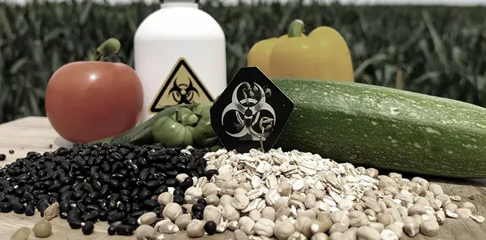 Assorted vegetables, beans, and warning-labeled containers arranged on a table outdoors.