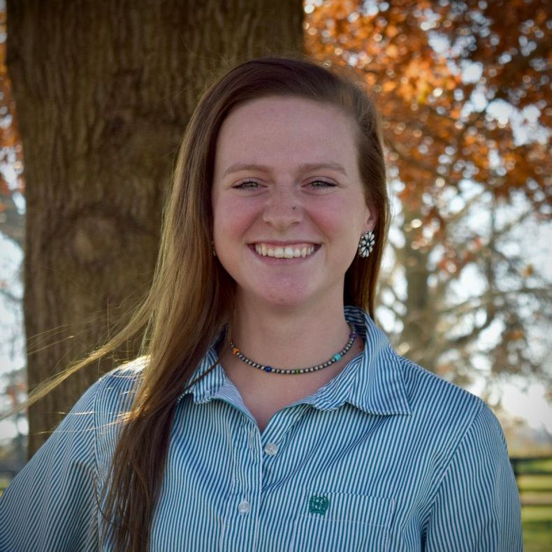 Equine Medical Services Columbia, MO Emily Yaeger