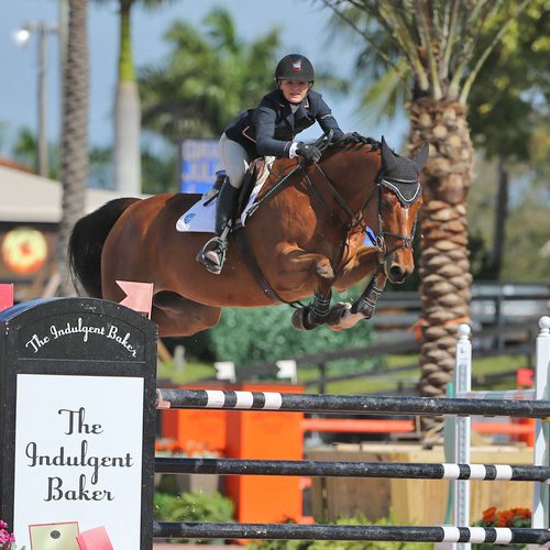 Equine Medical Services Columbia, MO Medical Services
