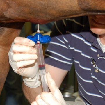 Diagnostic