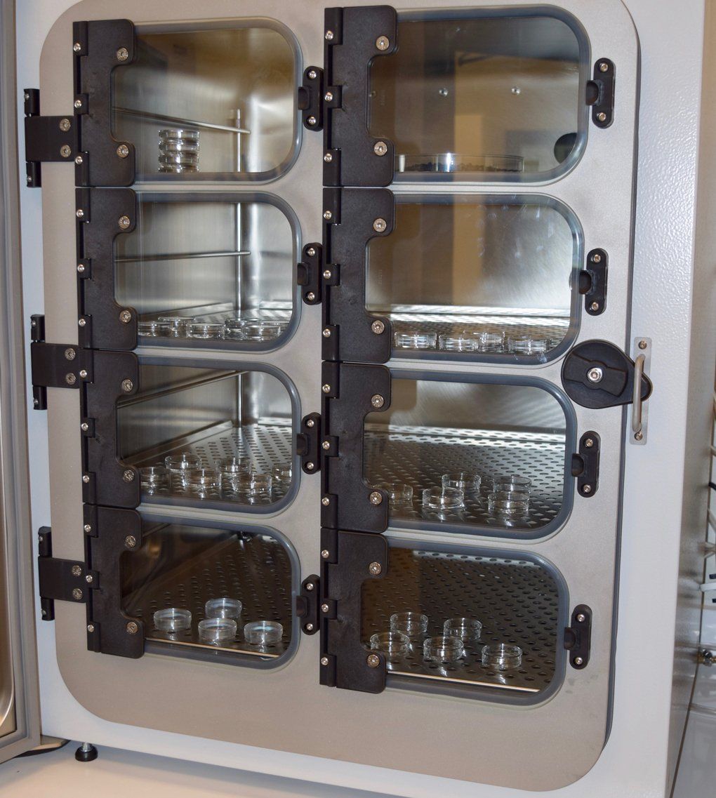 Embryos and oocytes are cultured in an incubator that contains an atmosphere of 5% carbon dioxide to maintain culture media pH, and 5% oxygen to reduce superoxide radical formation.
