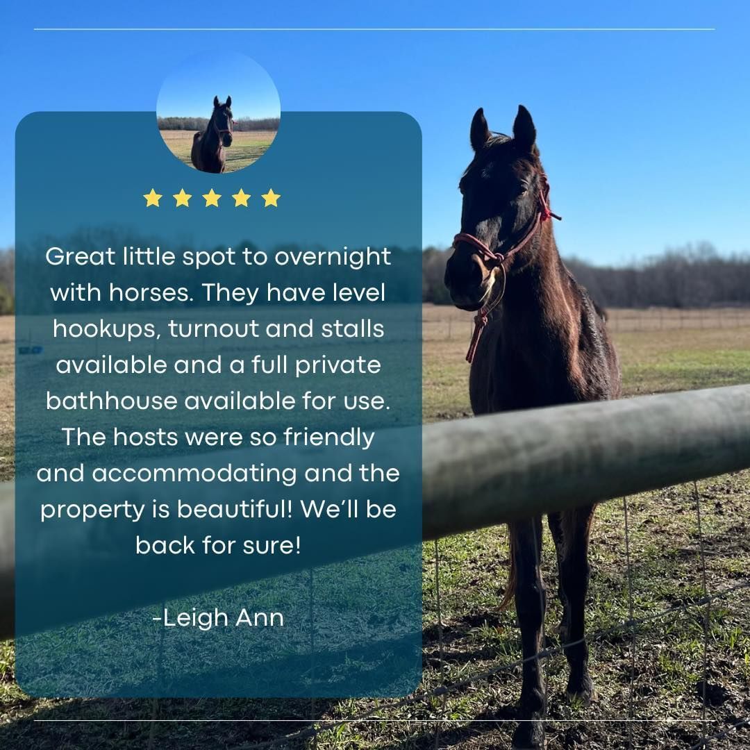 A horse is standing next to a fence in a field.