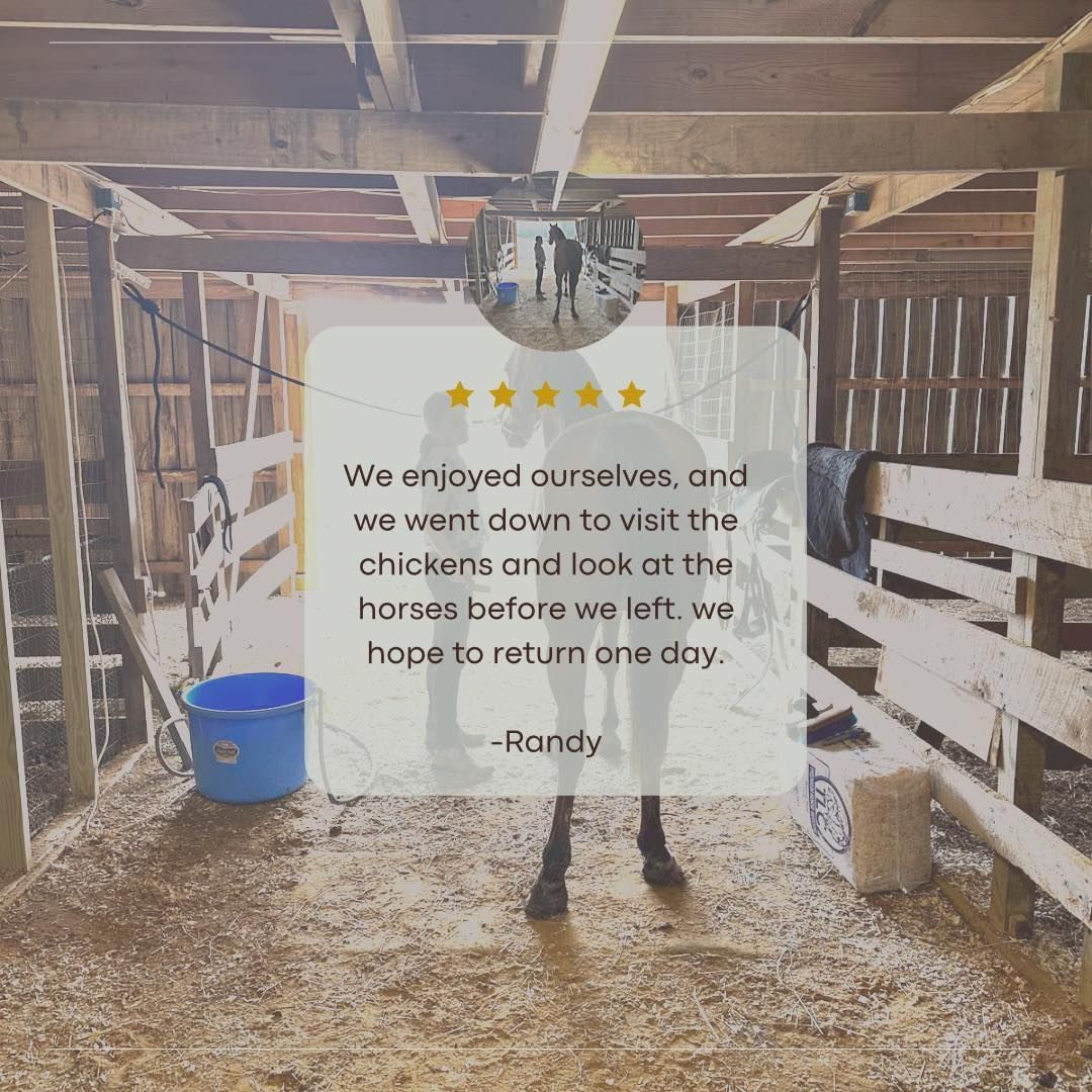 A picture of a horse stable with a review from handy