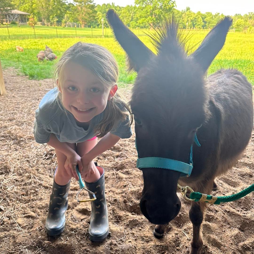 A little girl is kneeling next to a donkey