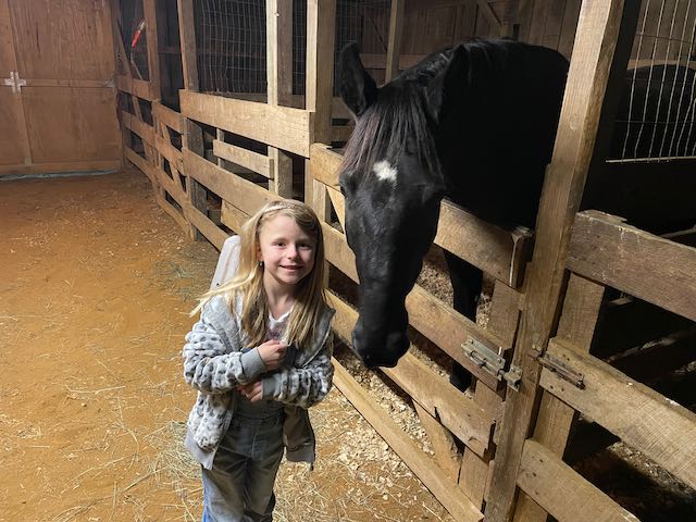 A little girl is standing next to a black horse in a stable.