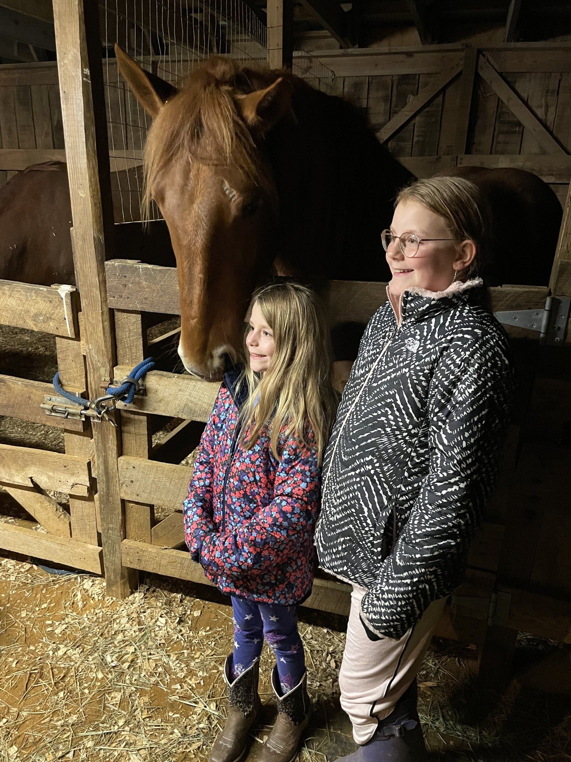 Two young girls are standing next to a horse in a stable.