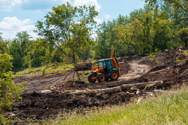 Orange backhoe clearing a wooded hillside with cut logs and dirt under a blue sky