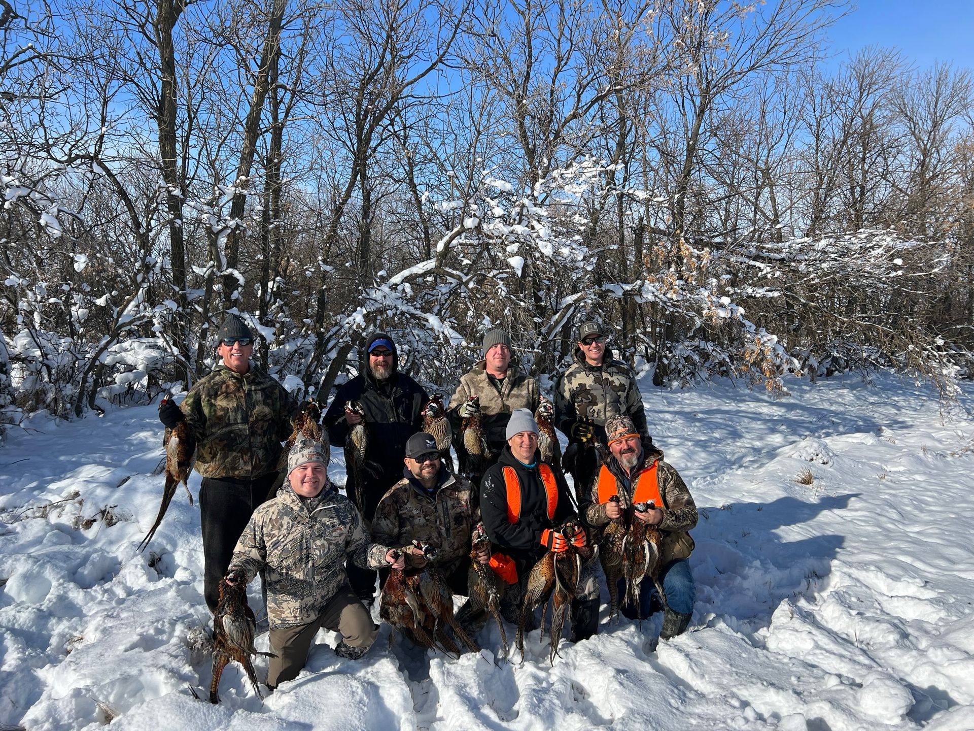Pheasant Hunts in North Dakota Prime Pheasant Hunting Habitat