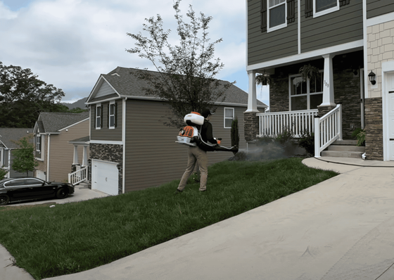 Pest Control | Spraying Insecticide on Trees