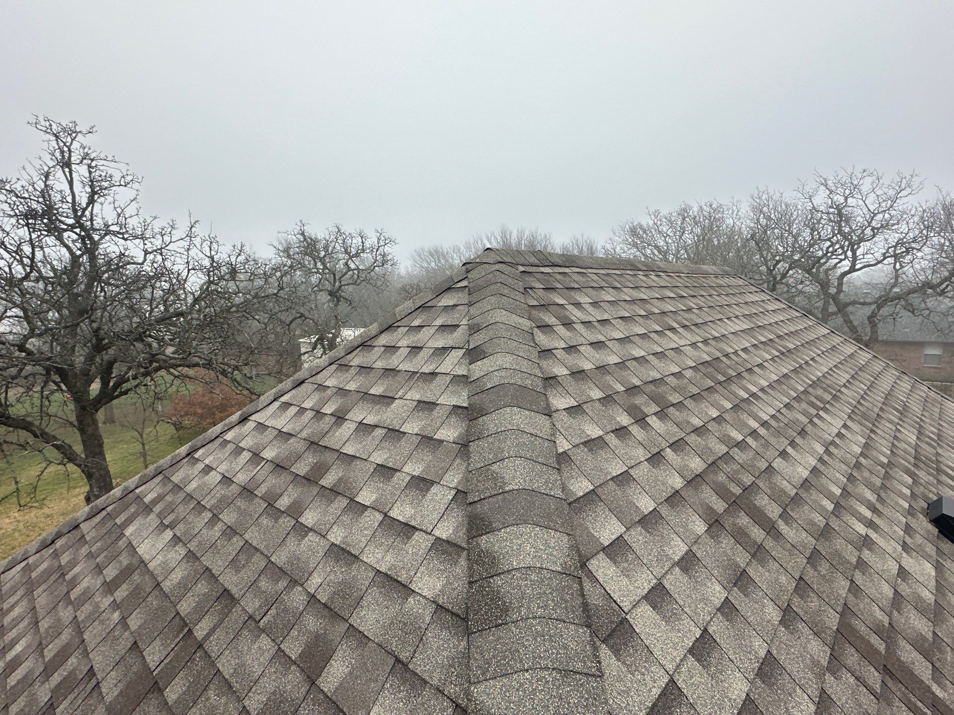 Shingled roof overlooking leafless trees on a cloudy day