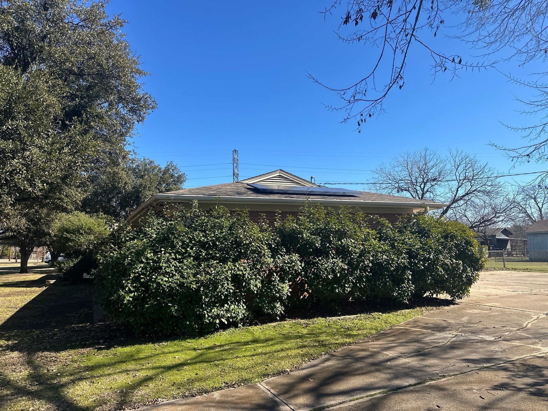 Suburban house with a large hedge and tree in the front yard under a clear blue sky
