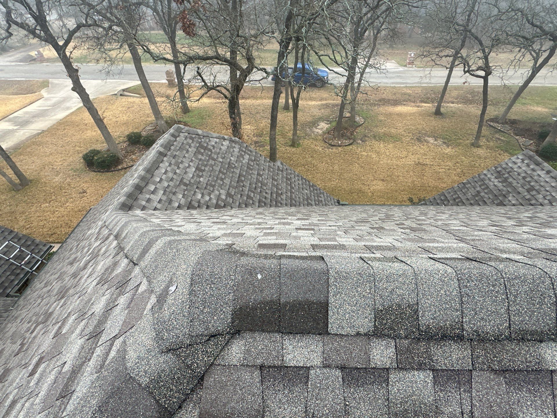 View from a rooftop over leafless trees and a quiet street on an overcast day.