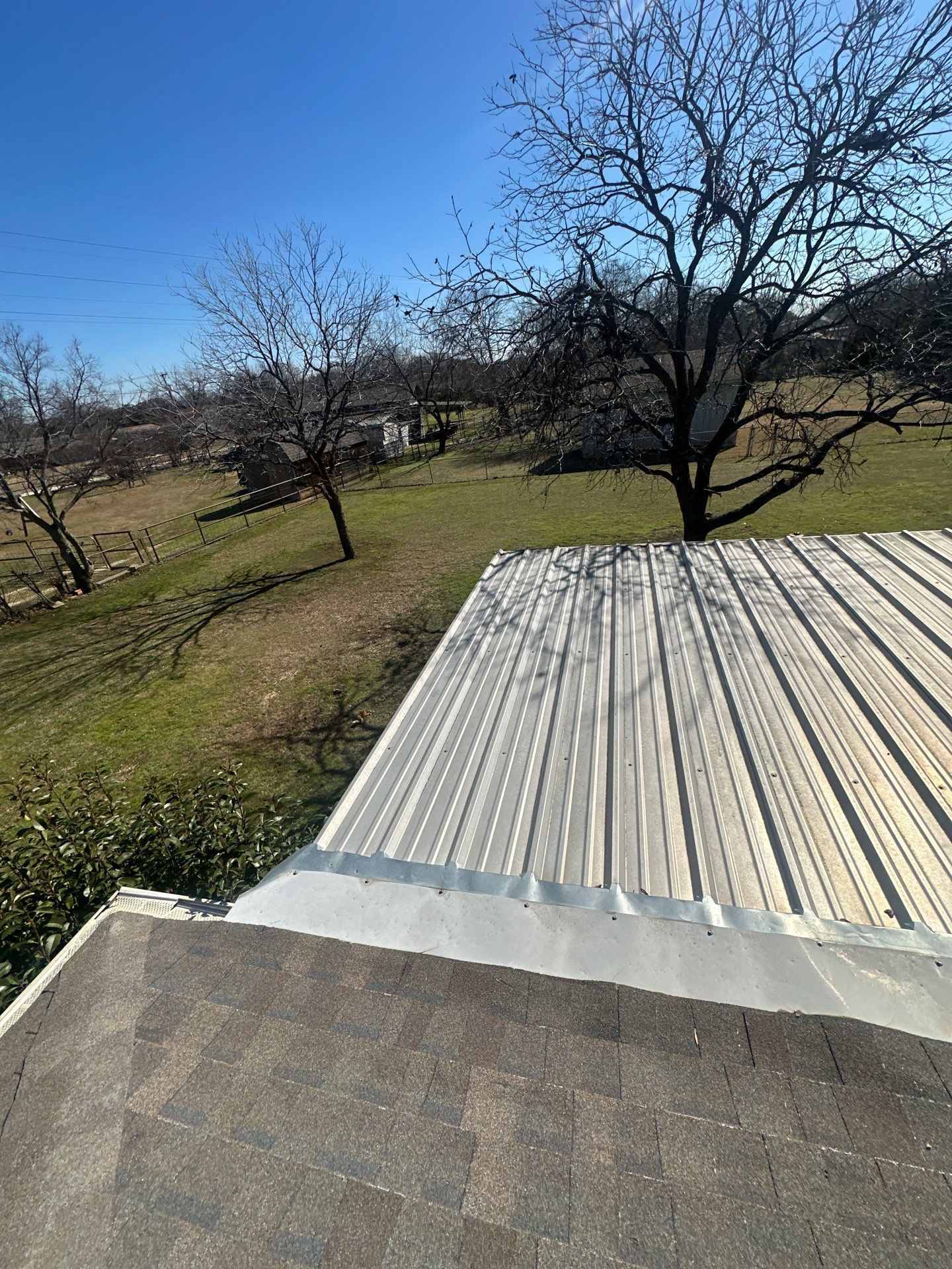 Corrugated metal roof overlooking a grassy orchard with leafless trees under a clear blue sky