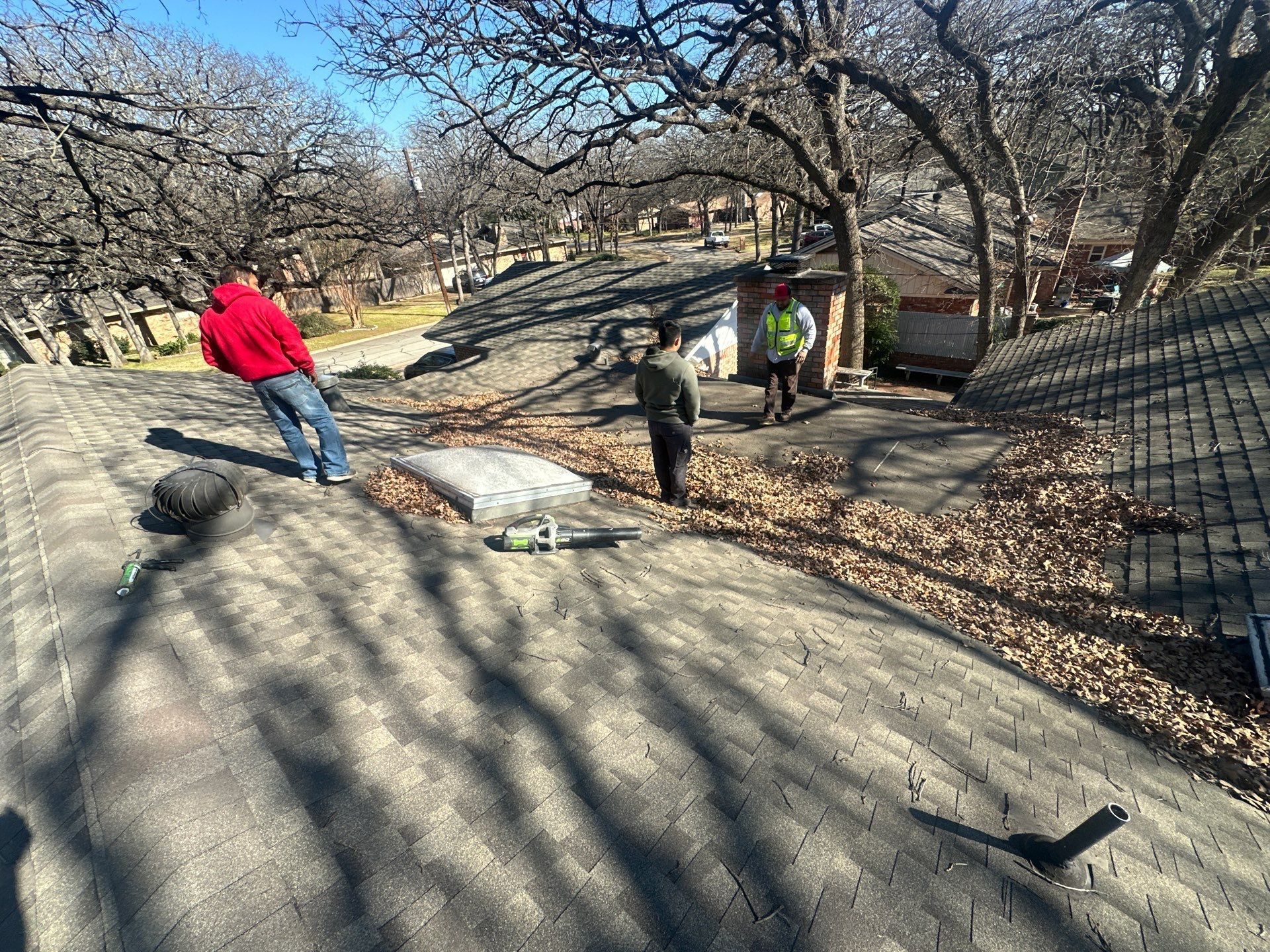 People standing on a rocky path beside a fallen tree in a leafless park, with a red-jacketed person nearby.
