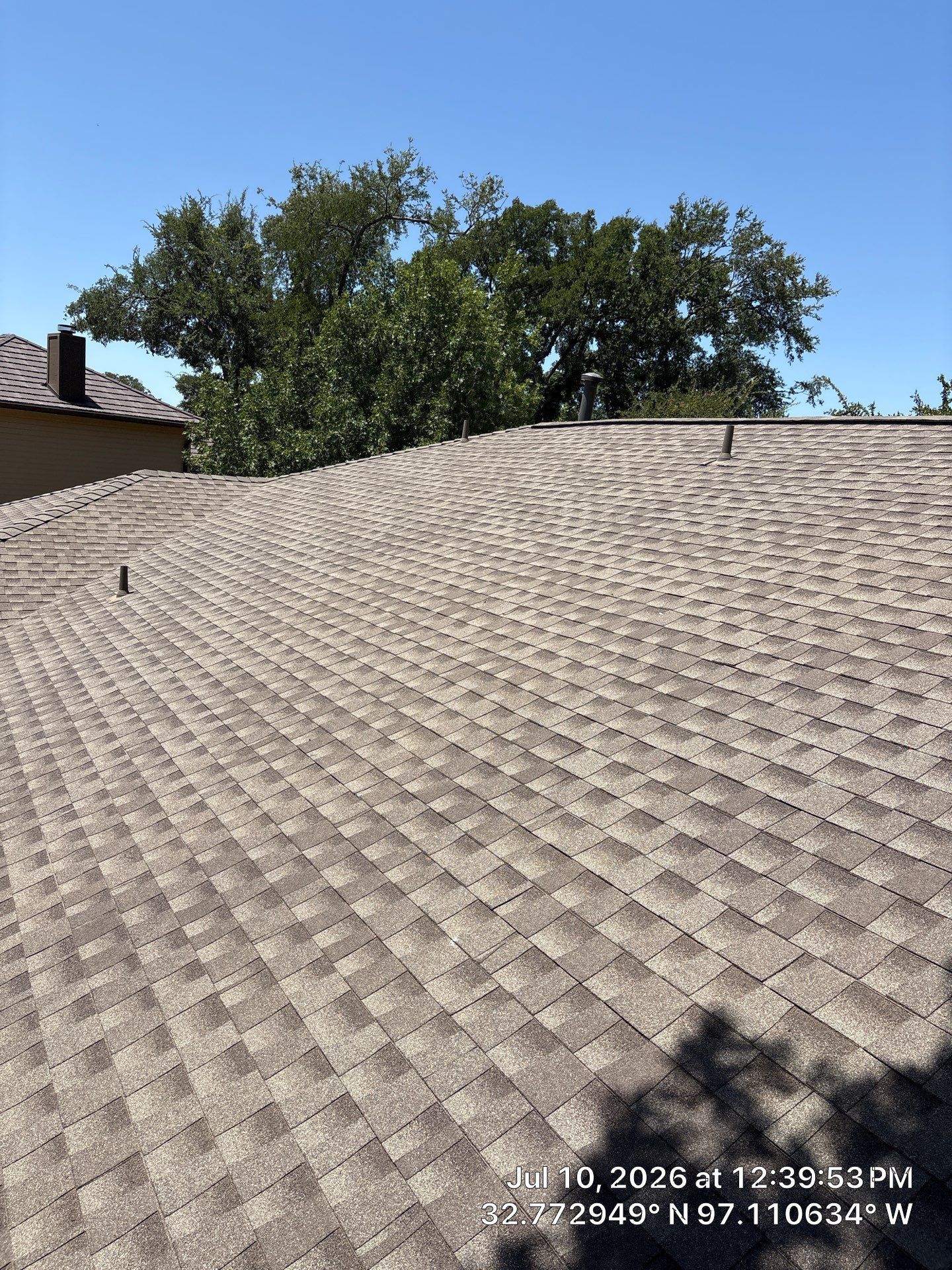 Tan shingled roof with trees and blue sky in the background