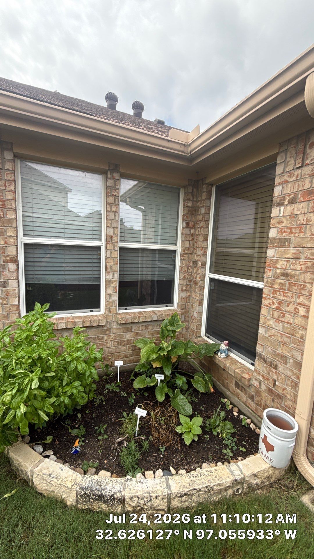 Small garden bed beside a brick house with windows, green plants, and a bucket near the corner.