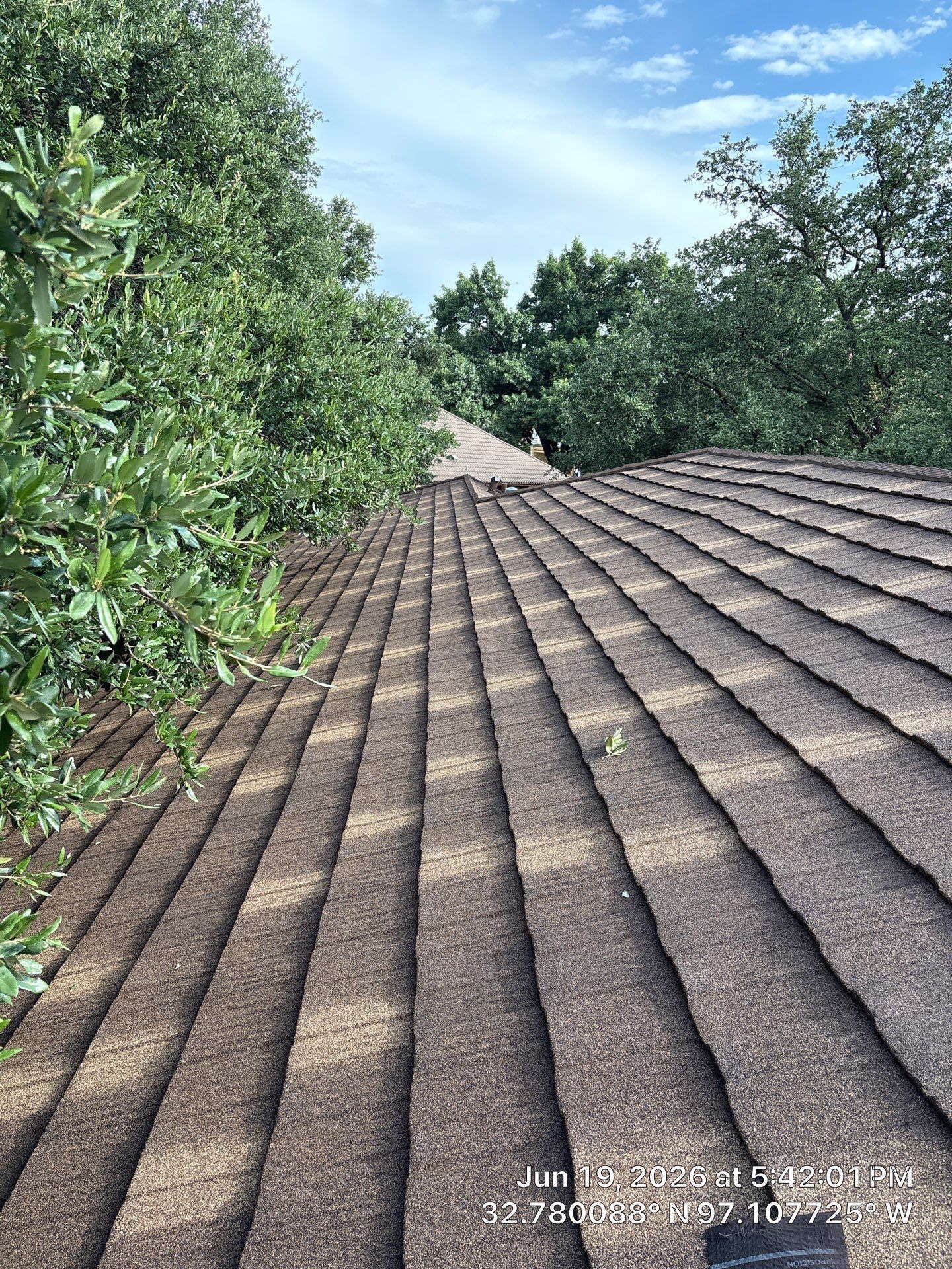 Rooftop shingle slope beside leafy trees under a blue sky