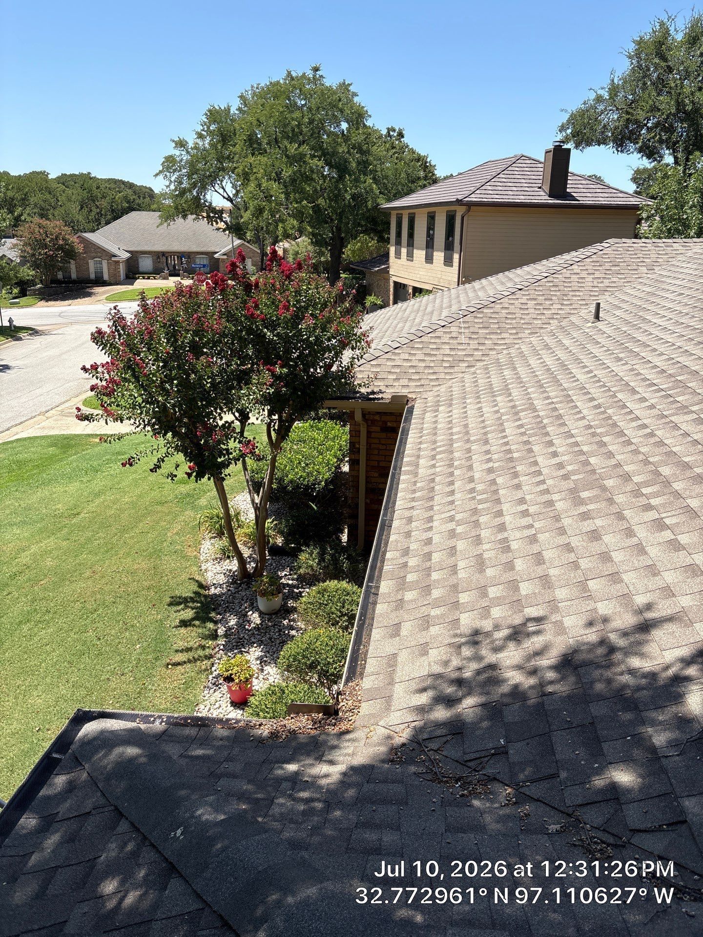 Rooftop and landscaped suburban yard with a flowering tree and houses on a sunny day