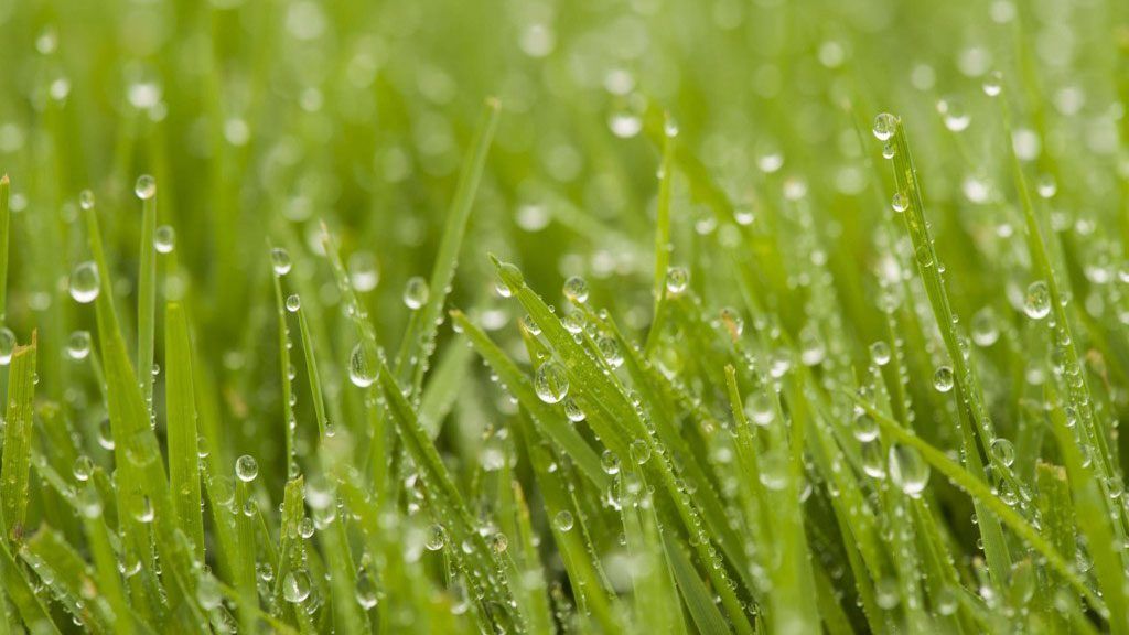 Services | Landscape Concepts