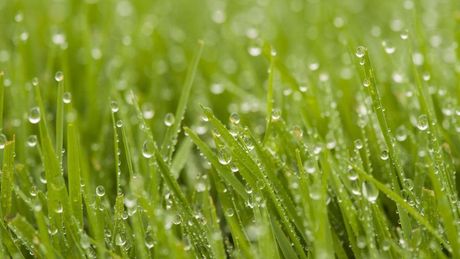 Landscape Design in Newton County, GA | Landscape Concepts