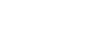 Bobcat Concrete logo