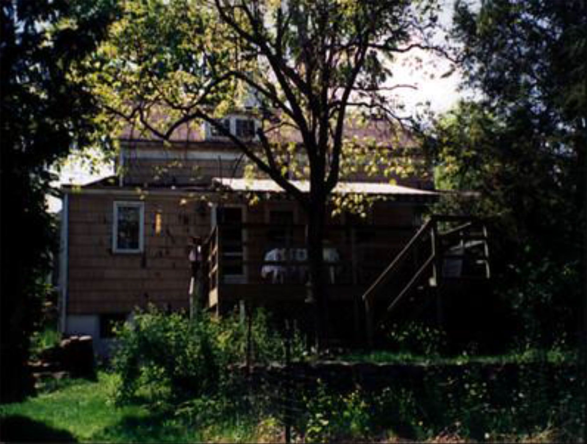 Back view of a two-story house with a deck and overgrown yard, surrounded by trees.