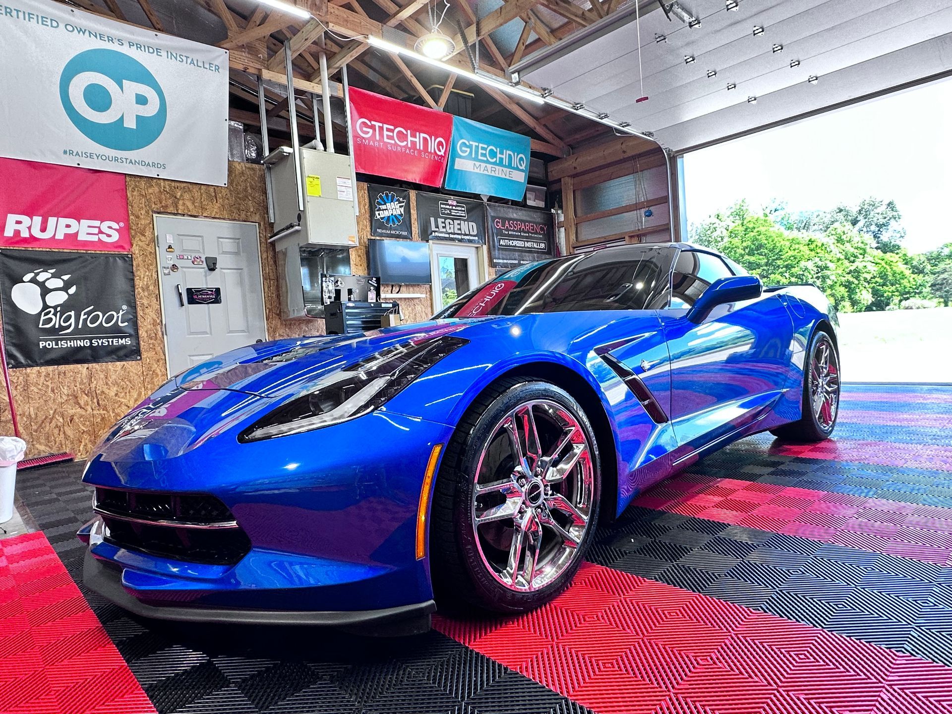 stingray