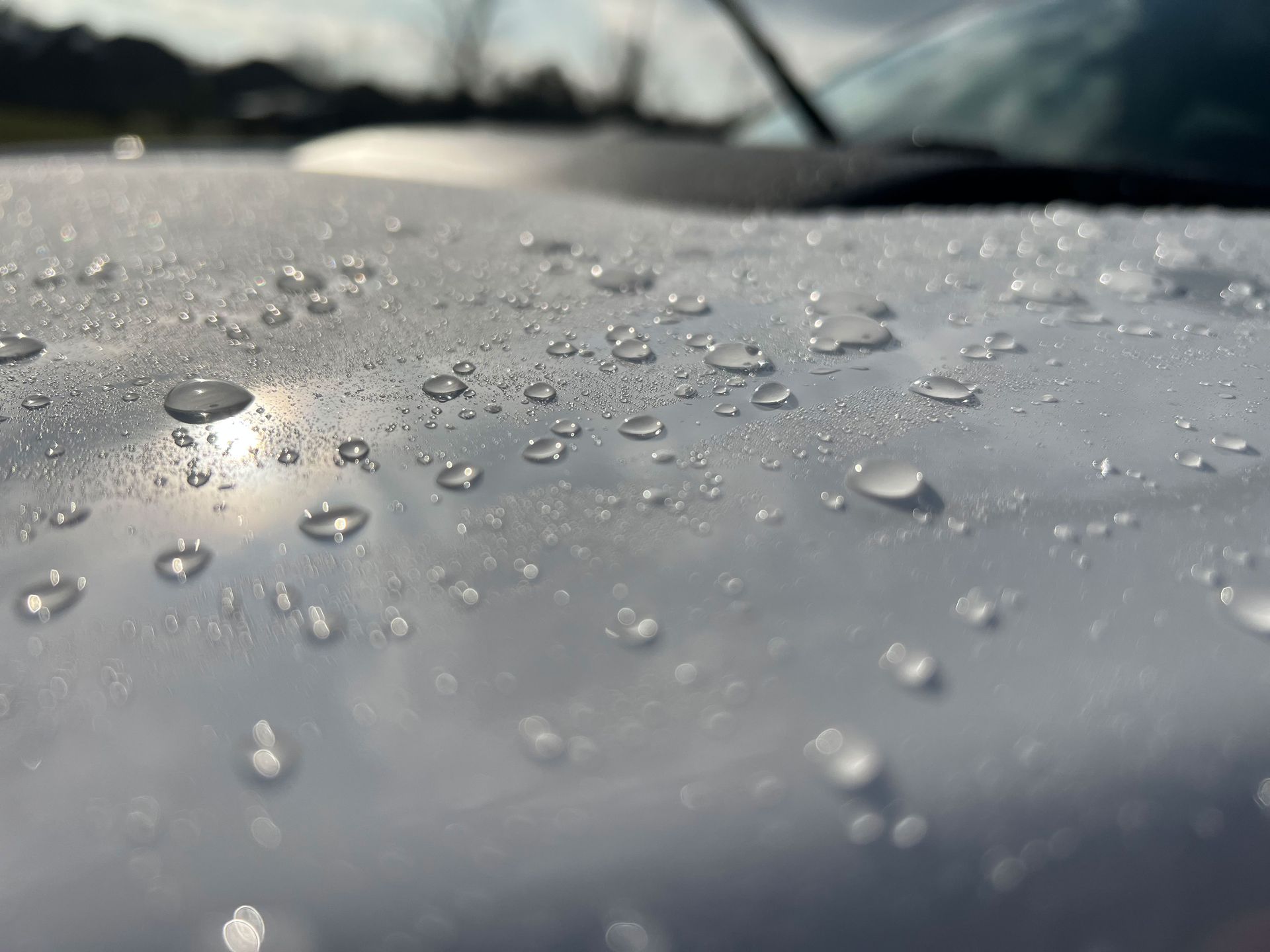 Ceramic Coating