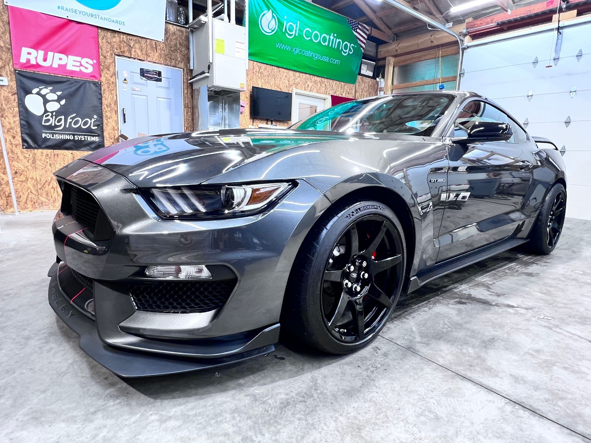 cobra