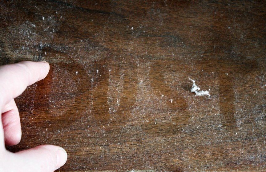 A person is holding a piece of wood in their hand.