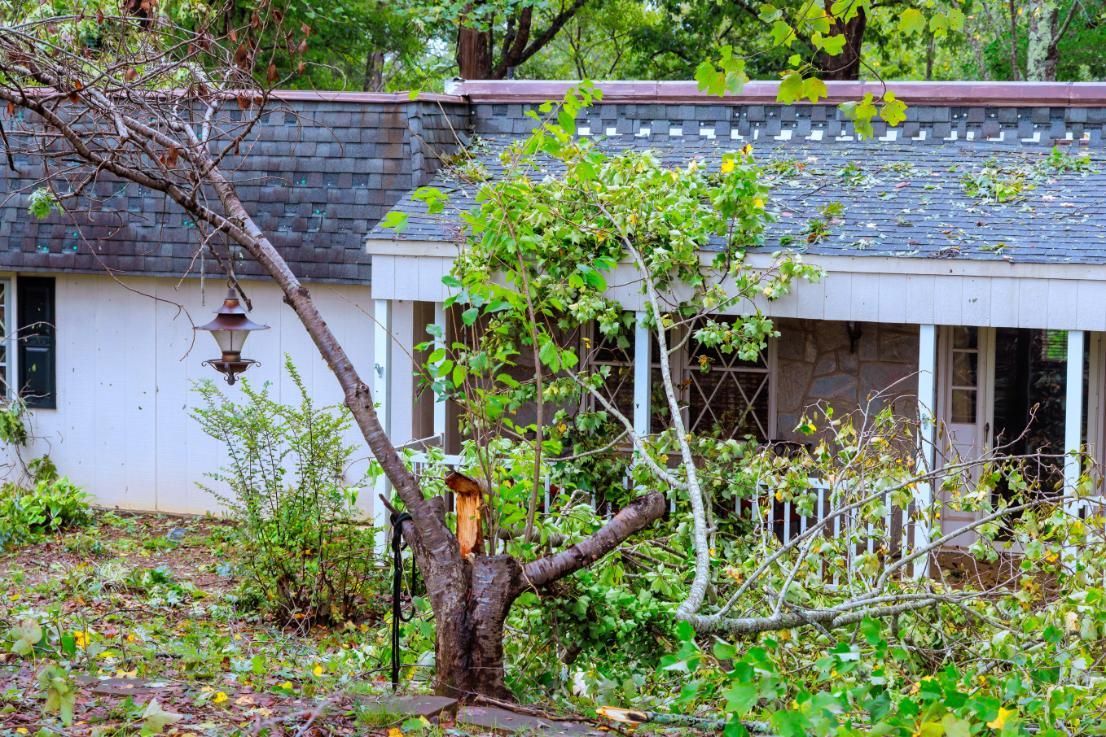 Storm-damaged garden with a fallen tree in front of a house and porch