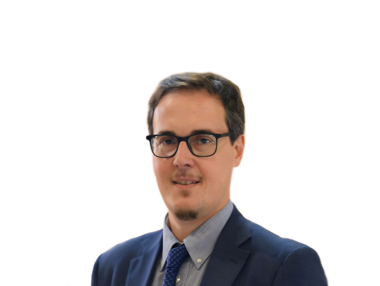 Nicola Merlin
