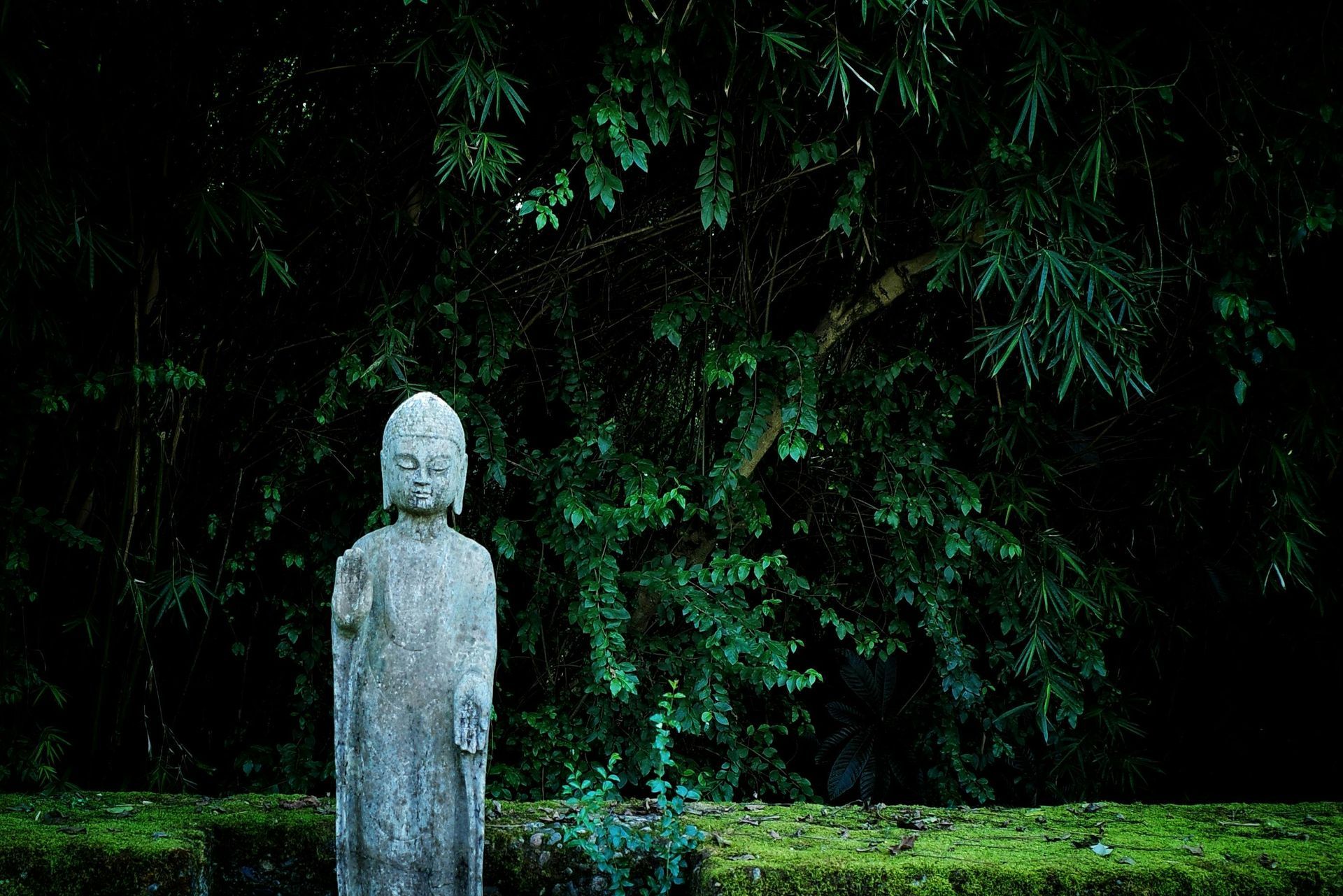 Stone statue in a dark green wooded garden, with dense foliage in the background.