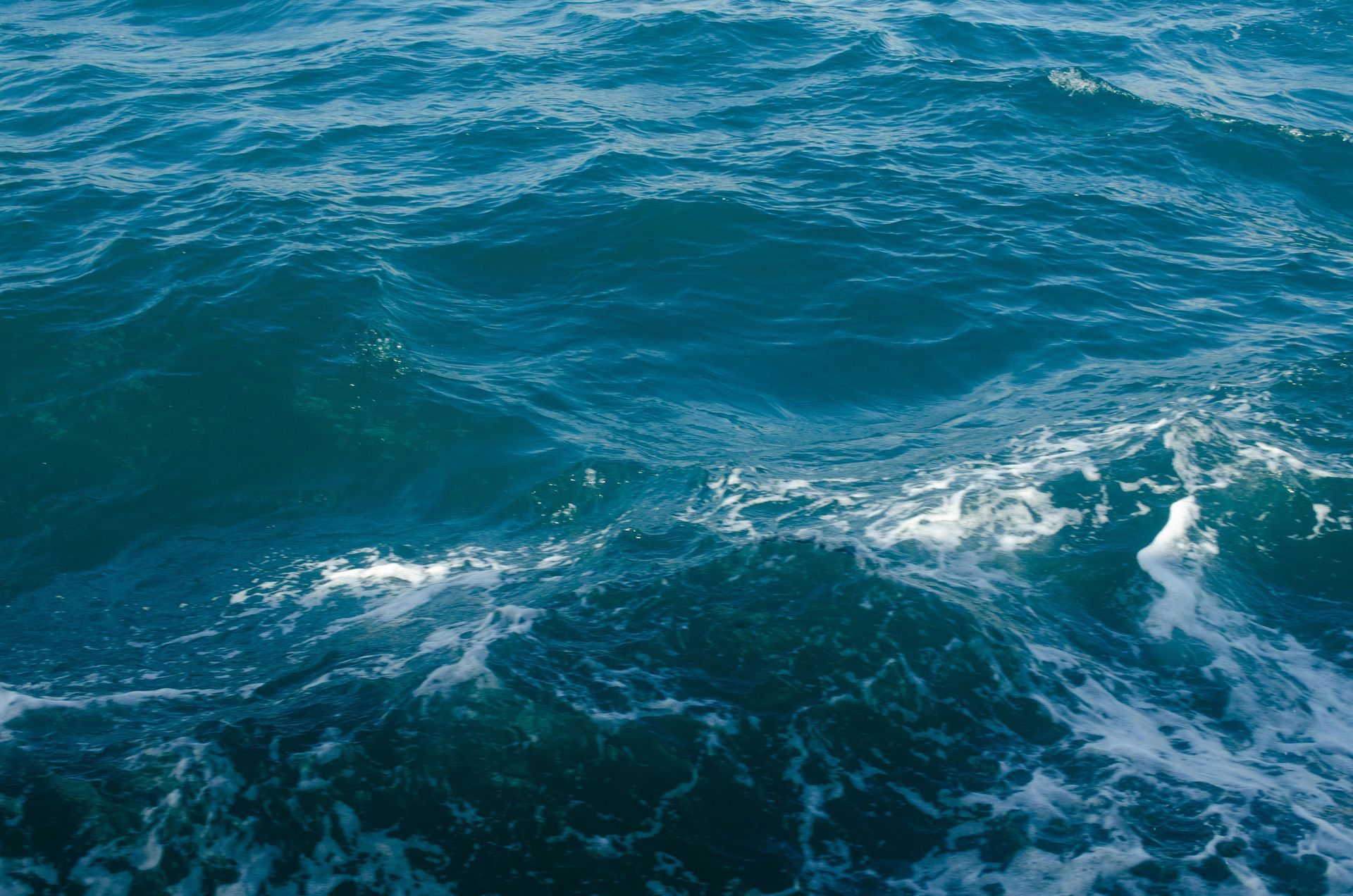 Blue ocean water with small waves and white foam.