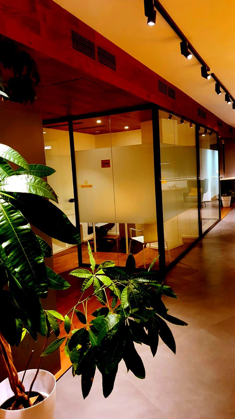 Warm hallway with glass office walls, orange ceiling, and potted plants lining the corridor.