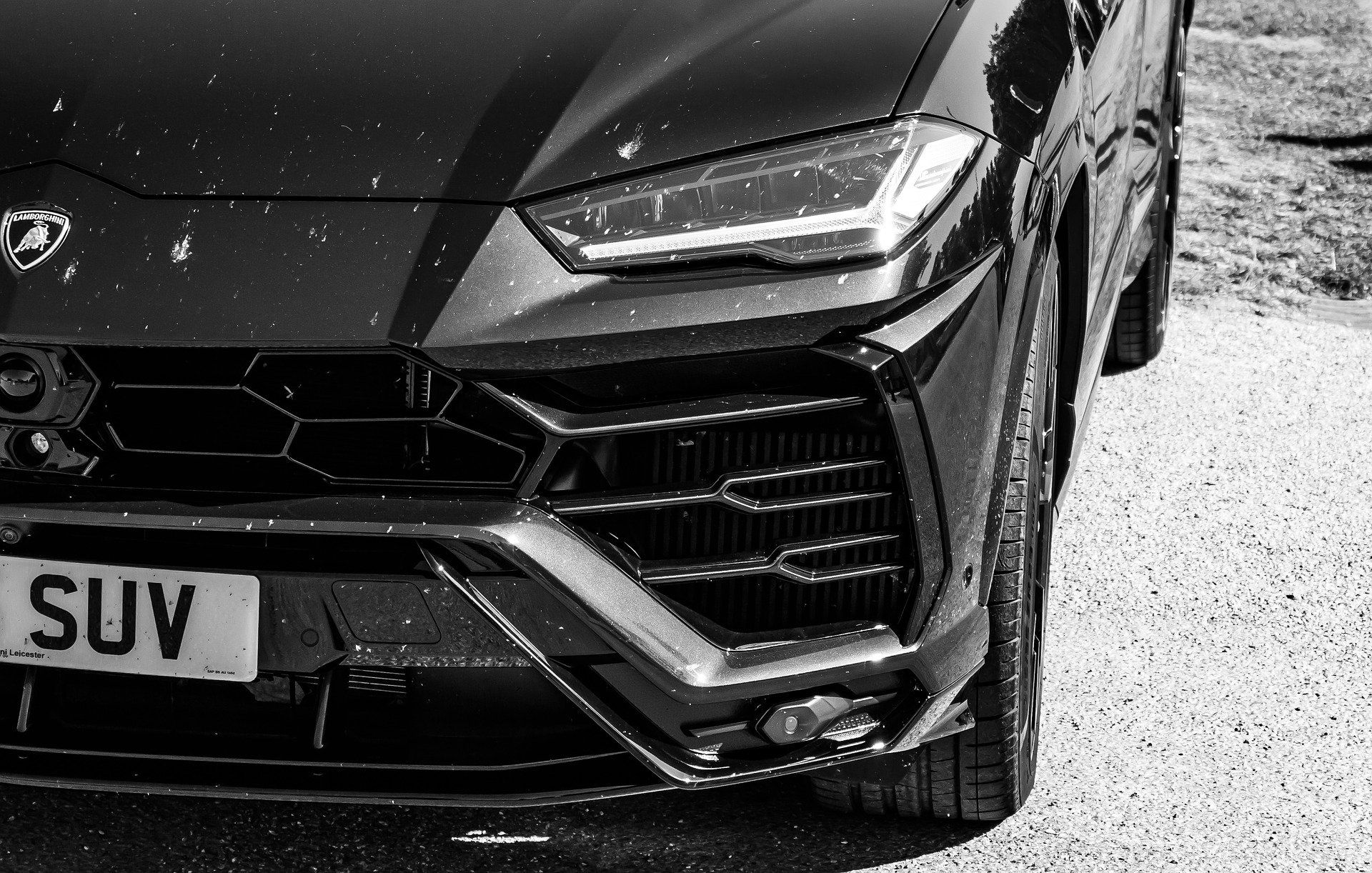 remove paint protection film