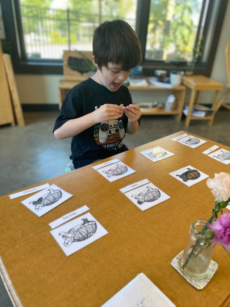 An IMA student reads labels for Parts of the Frog.