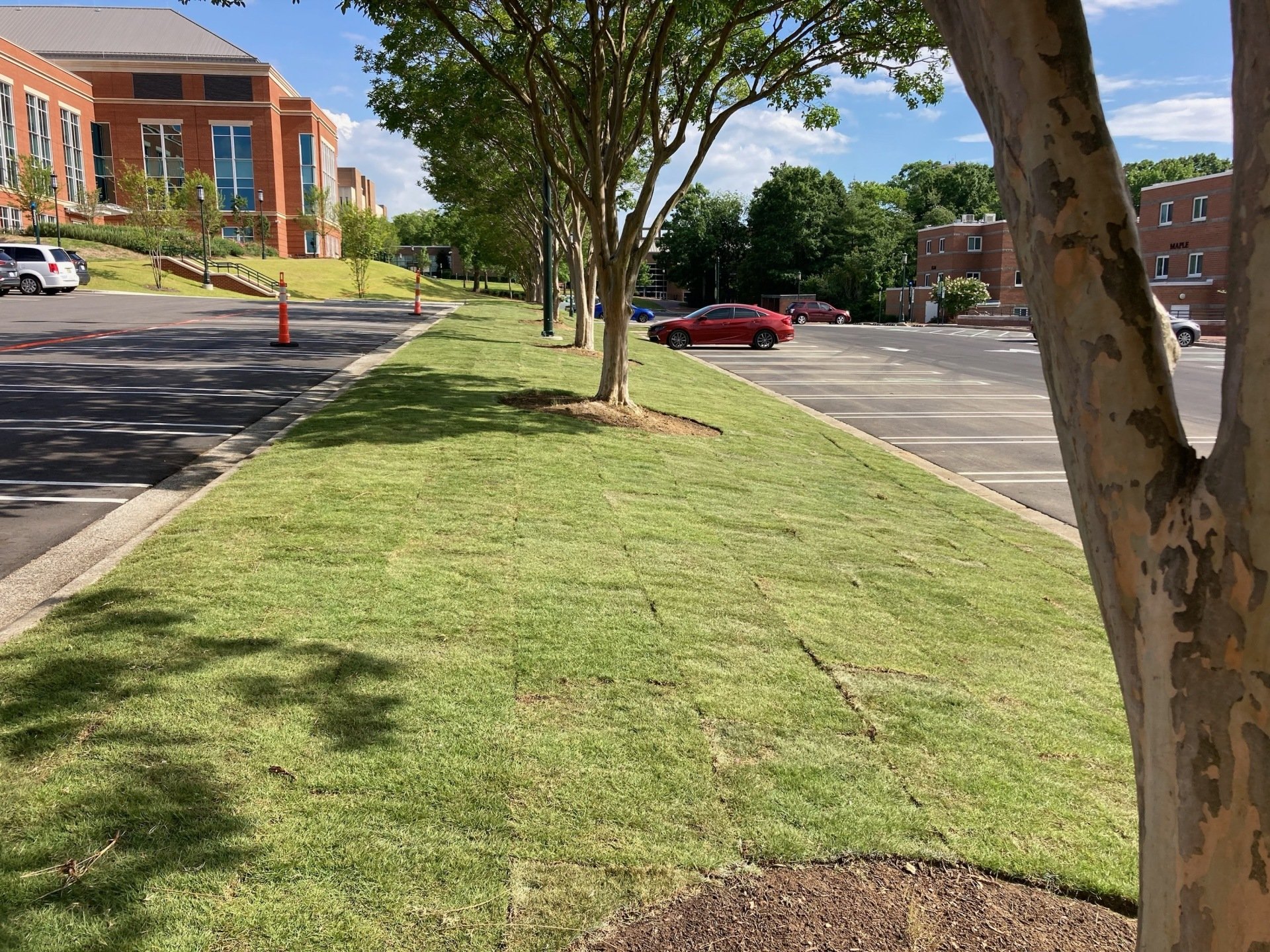 Champion Landscapes-Commercial & Residential Landscaping - Charlotte NC
