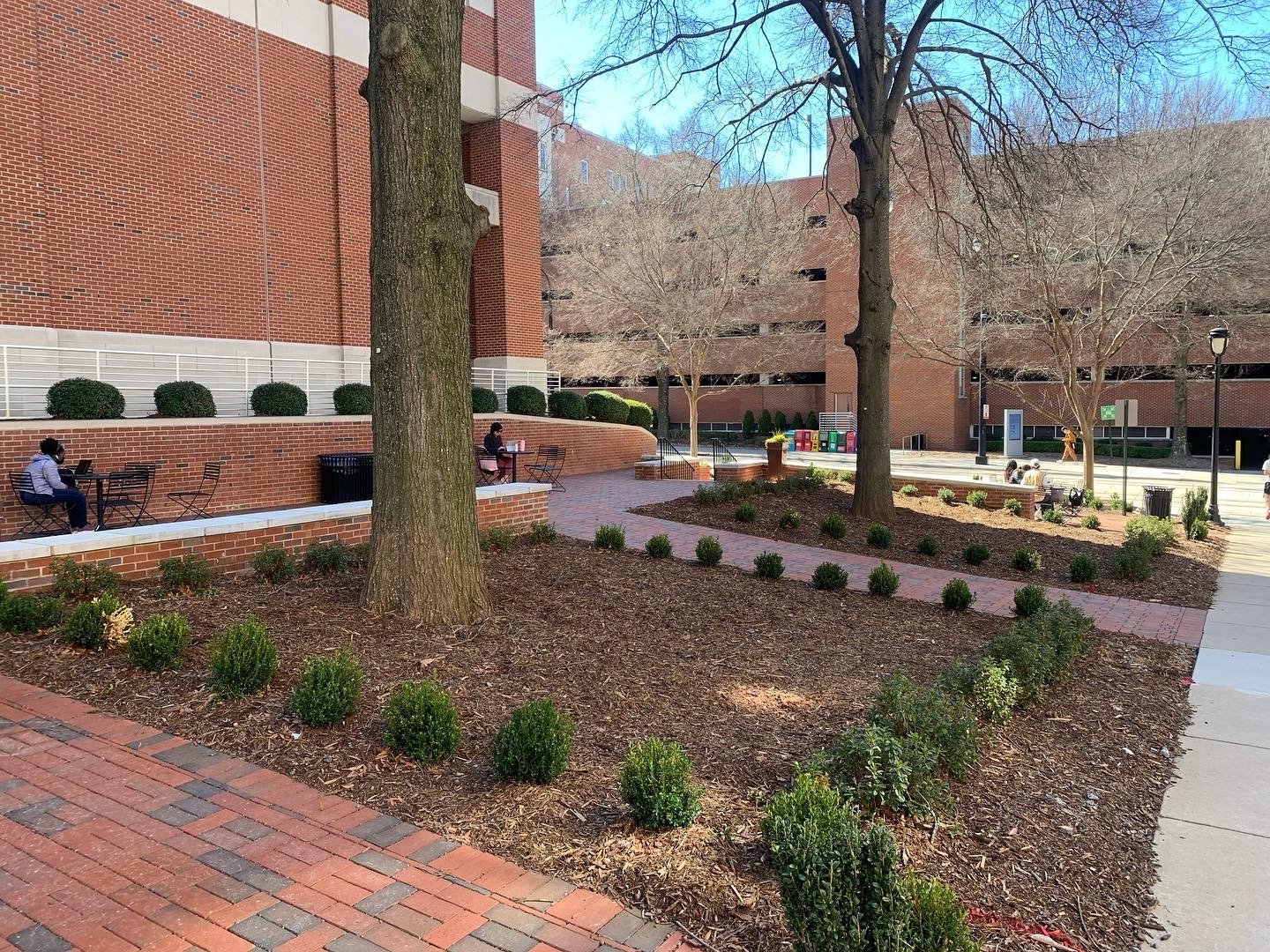 Champion Landscapes-Commercial & Residential Landscaping - Charlotte NC