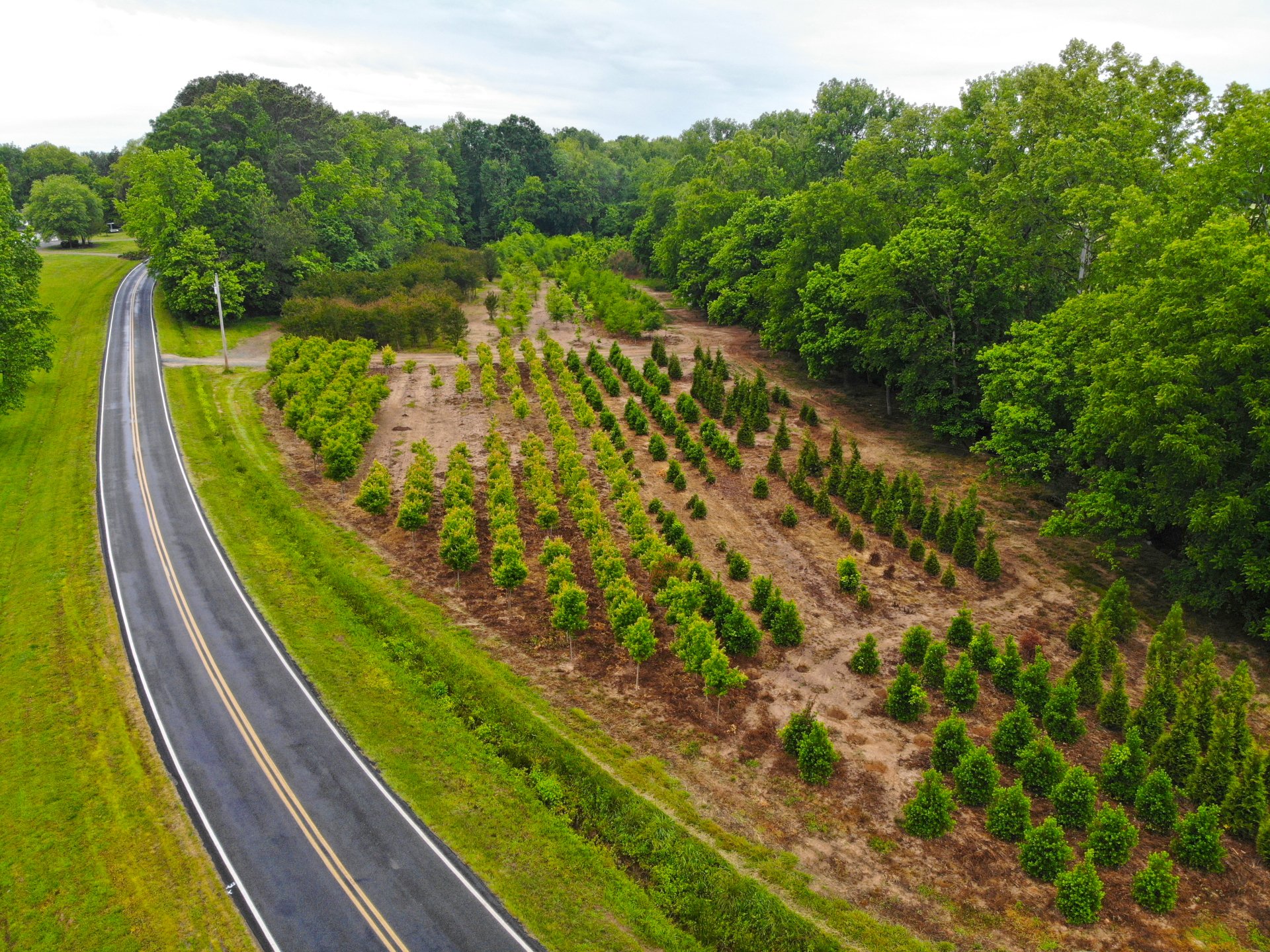Champion & Residential Landscaping Charlotte NC
