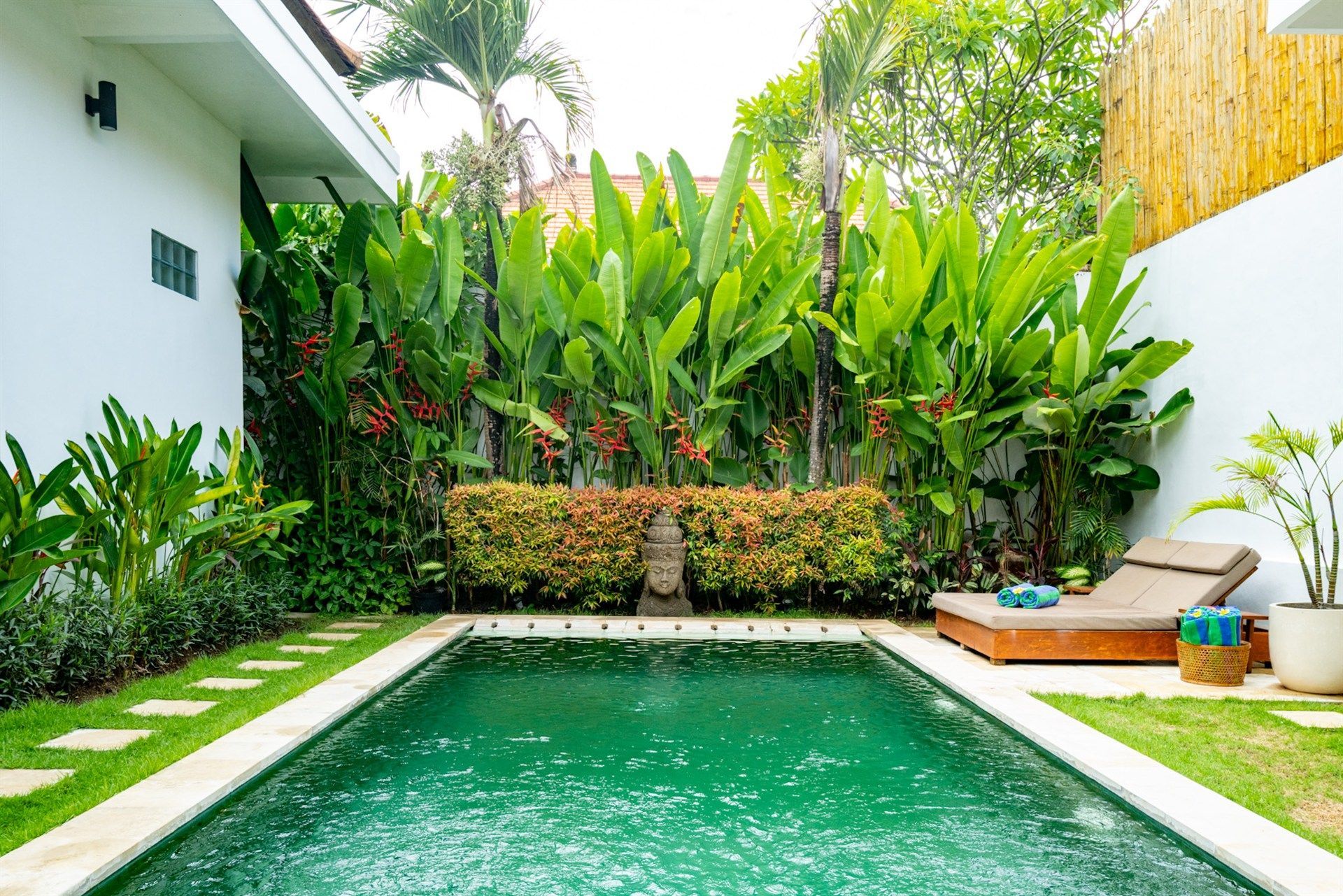 Small rectangular pool in a lush green backyard, lined with plants and a wooden lounge chair.