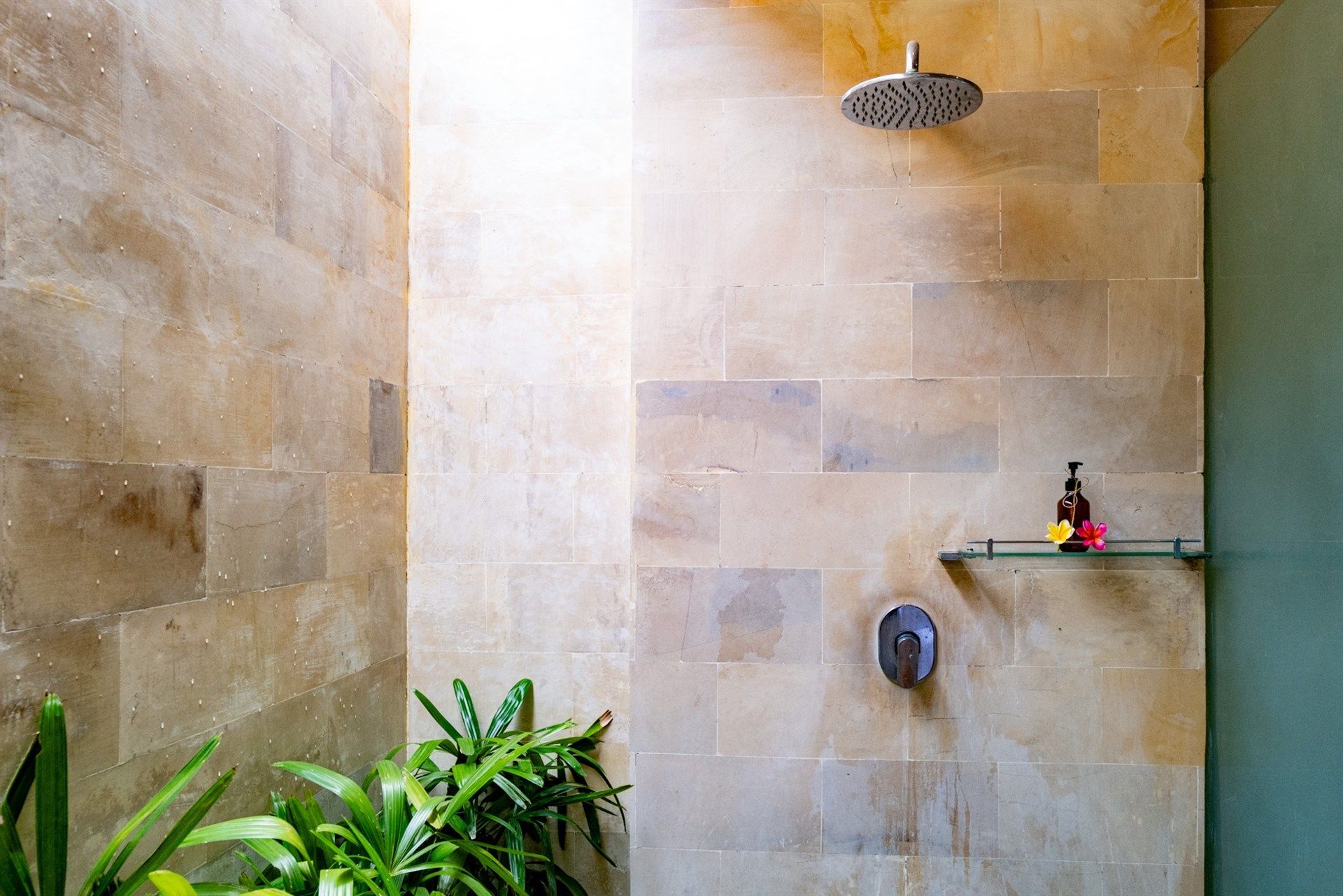 Shower with beige tile walls, rain showerhead, and a glass shelf holding bottles, and plants in the foreground.