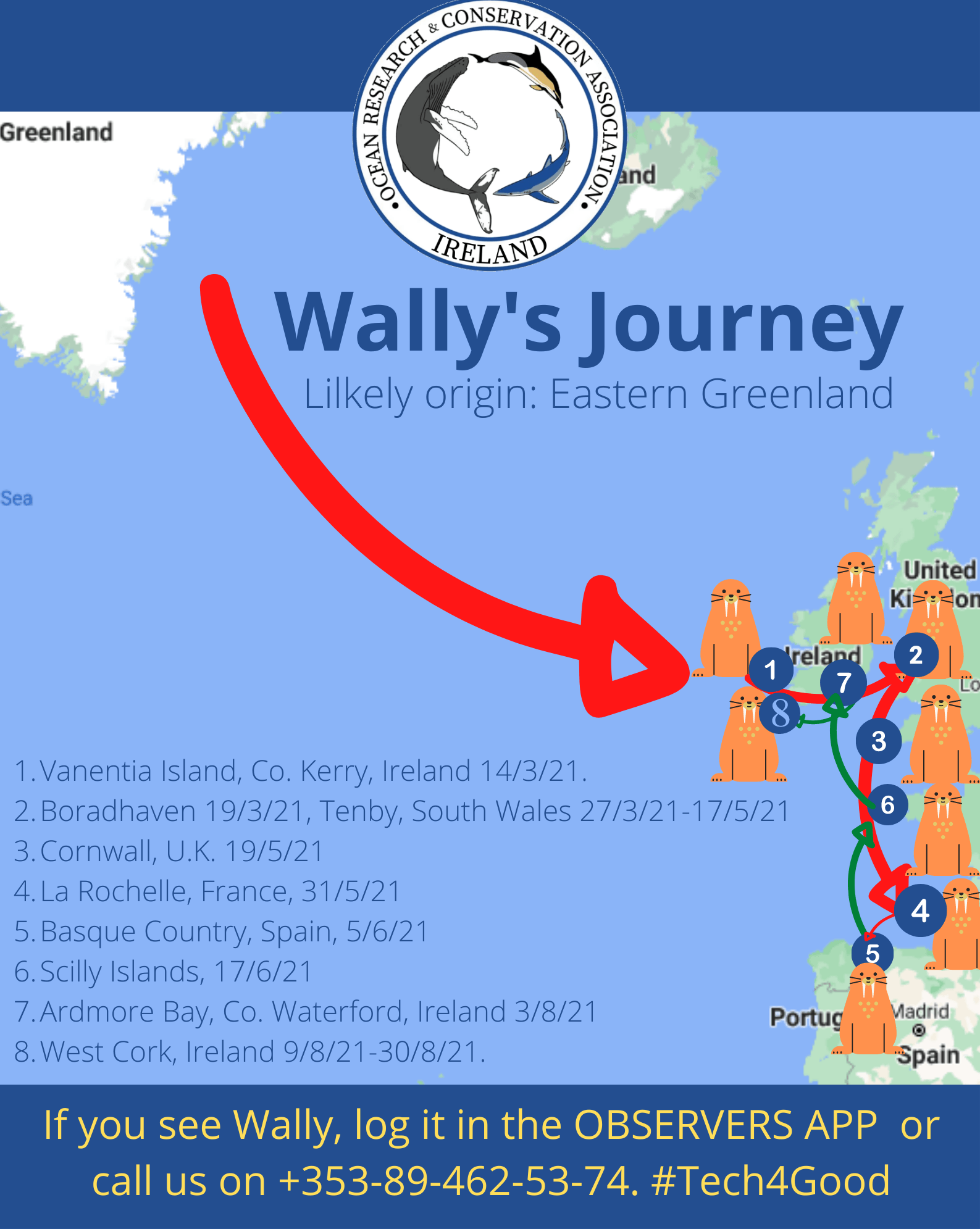 Seal Vs. Walrus What's the difference between "Wally" the walrus and a