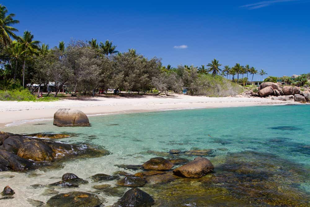 A Beach With a Lot of Rocks and Palm Trees in the Background — Reed Plumbing Industries in Bowen, QLD