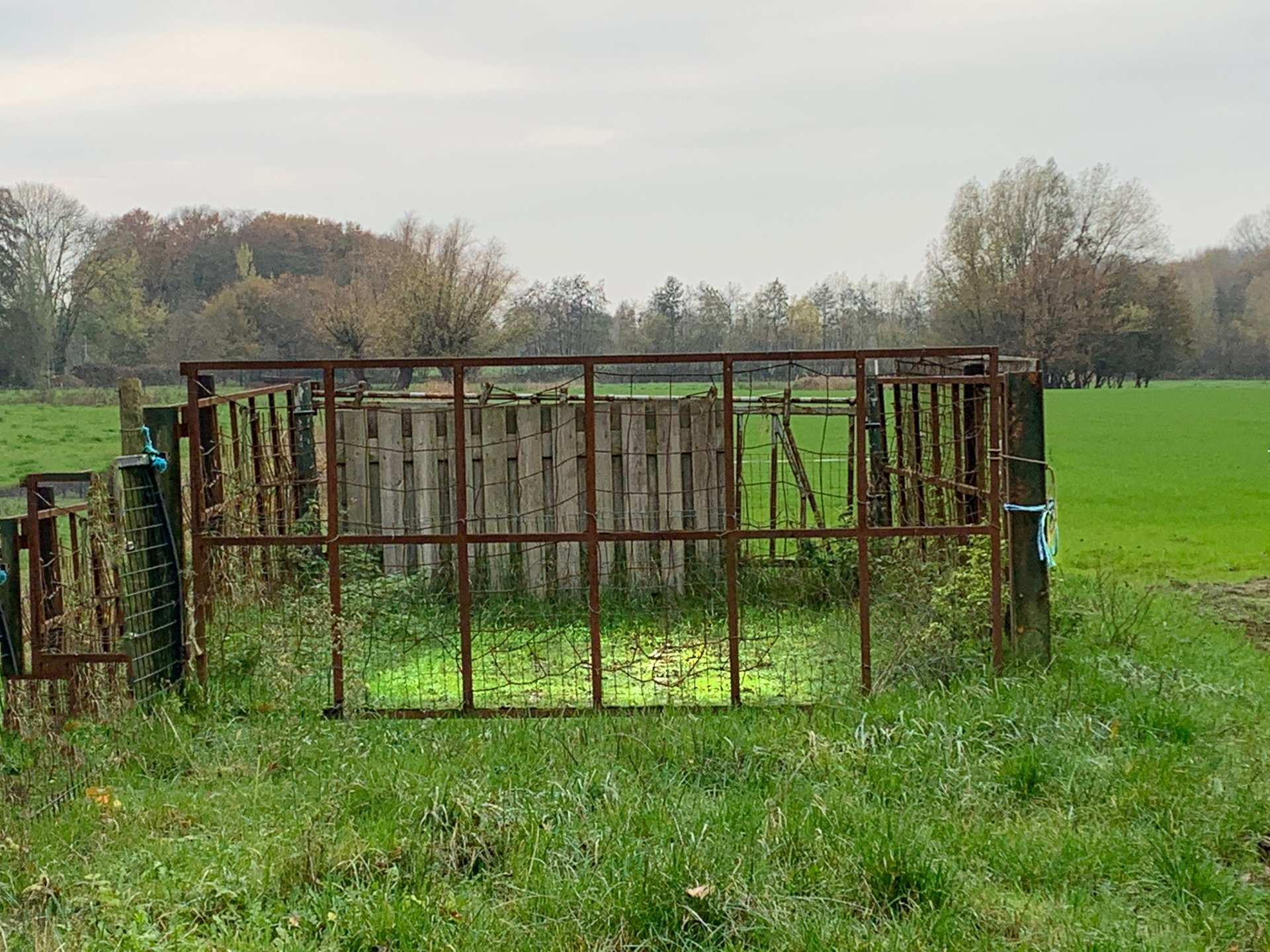 groene plak 2022