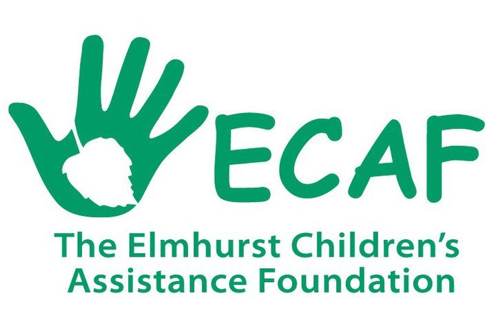 A logo for the elmhurst children 's assistance foundation