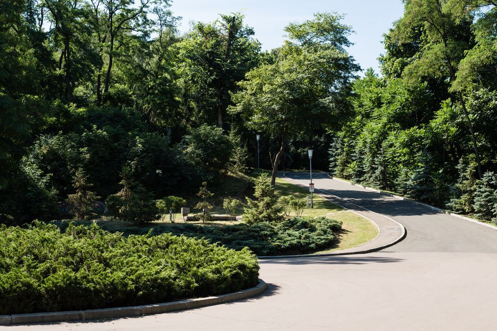 La carretera pavimentada serpentea a través de un exuberante parque verde, rodeado de árboles y arbustos bajo un cielo soleado.