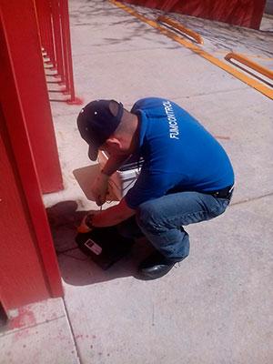 FUMI CONTROL DE PLAGAS DE LEÓN – RATONES