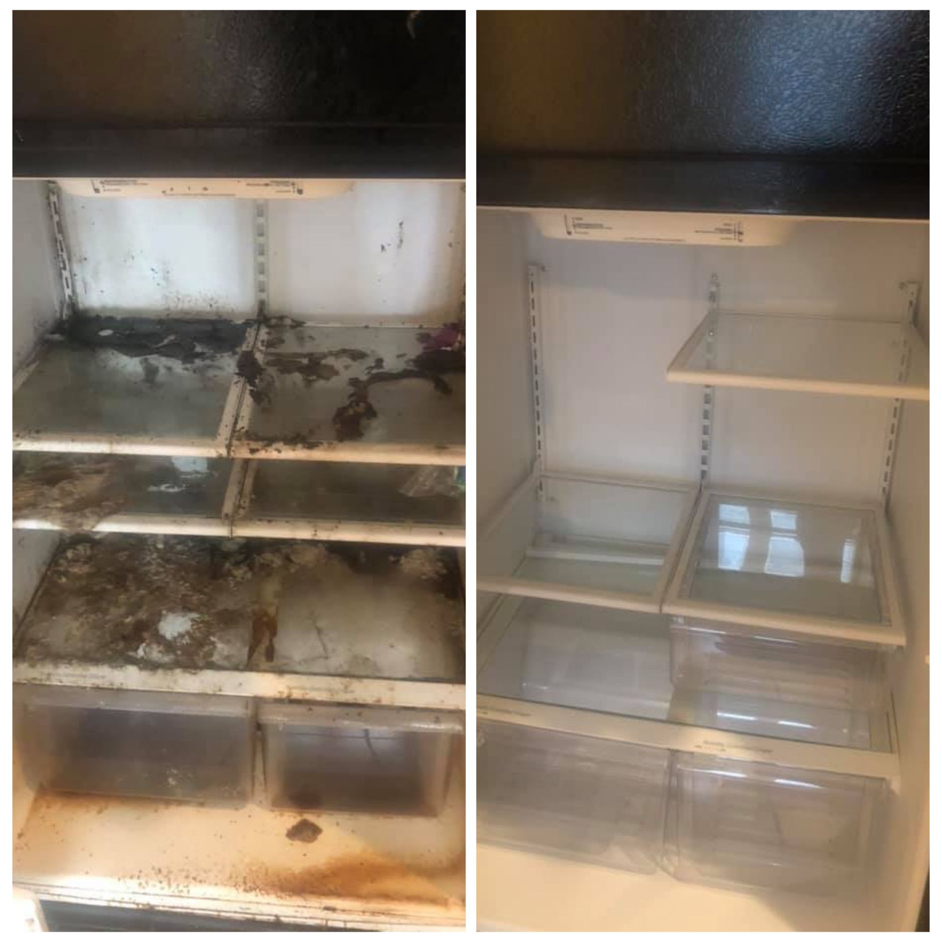 deep cleaning Cheyenne wy
